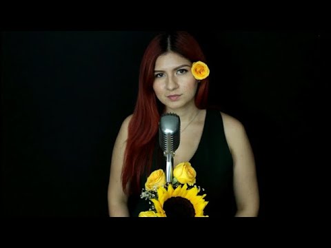 No-Alejandro Fernandez- Yedid Urias (Cover)