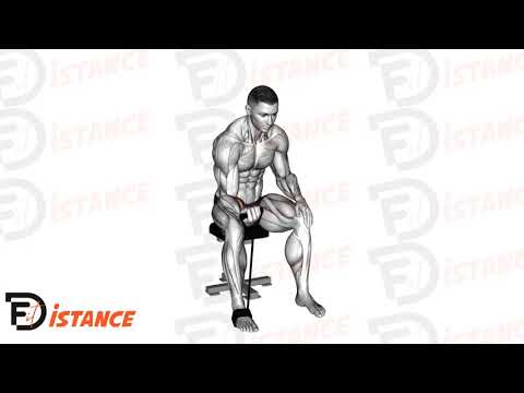 Curl de poignet à l'élastique - Exercice Curl de poignet à l'élastique en vidéo Curl de poignet à l'élastique - Exercice Curl de poignet à l'élastique en vidéo