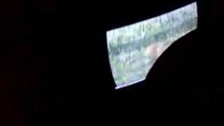 kid feaking out  big time (hellla Funny)