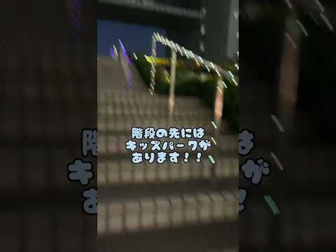 本当は教えたくない！豊洲キャンパスおすすめスポット！2最近クリスマスツリー🌲も追加されたよ！ #shorts