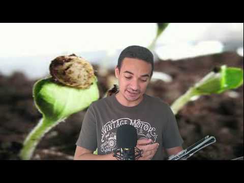 LITURGIA DIÁRIA DE 12 DE JULHO DE 2020 - PALAVRAS DO DIA