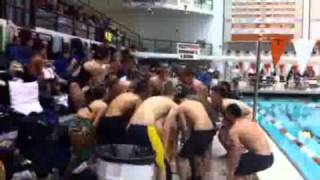 Swimming in Flies Music Video