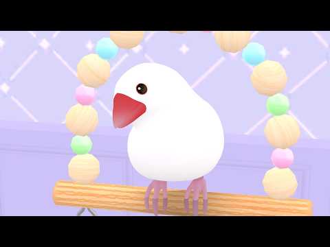 Happy Buncho Life: Bird Game video thumbnail