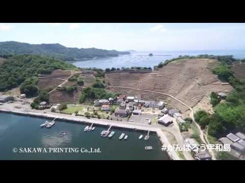 宇和島市遊子水荷浦の段畑 The Danbata Terrace Fields Uwajima #がんばろう宇和島