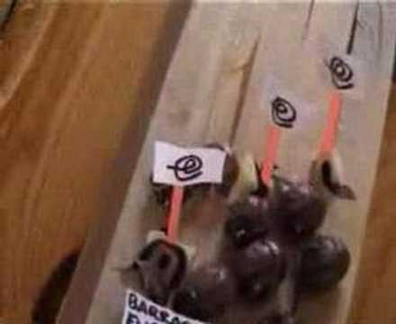 euskararen eguneko bideoklipa - suntsiketa poliki poliki