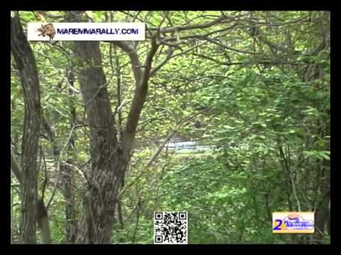 Rally monteregio 2012 ps 2 montieri