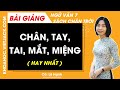 Chân tay tai mắt miệng Ngữ văn lớp 7 Chân trời sáng tạo