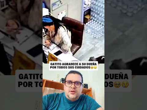 Se despidió antes de partir 💔🐾 #gatitos #historiasreales #amoranimal #cats #emotivo