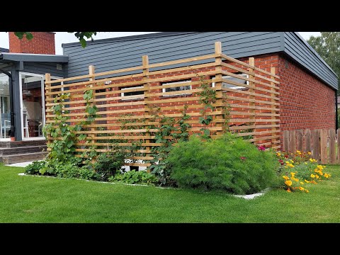 Stenlagd uteplats med spalje