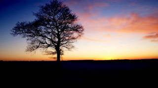 Helios - Paper Tiger