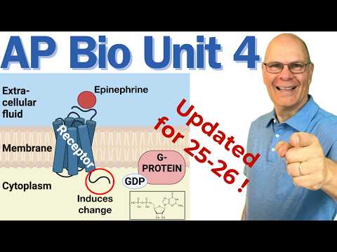 Crush AP Bio Unit 4! Cell Communication, Feedback, and the Cell Cycle (Updated for 25-26!)