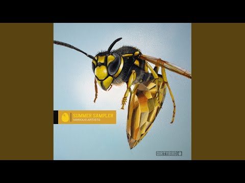 Turbulence (Original Mix)