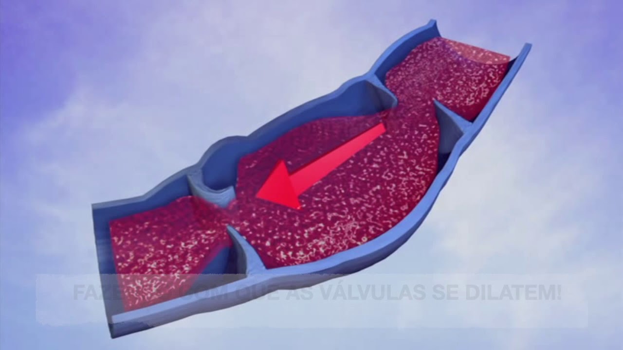 Danielle Milani Bernardes-16