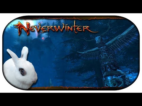 NEVERWINTER: Paladin-LP 🐇 37 - Thunderhowl mag keinen Tee