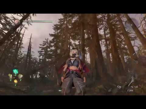 NIOH 2 - Last Chance Trial (ALL LEVELS)