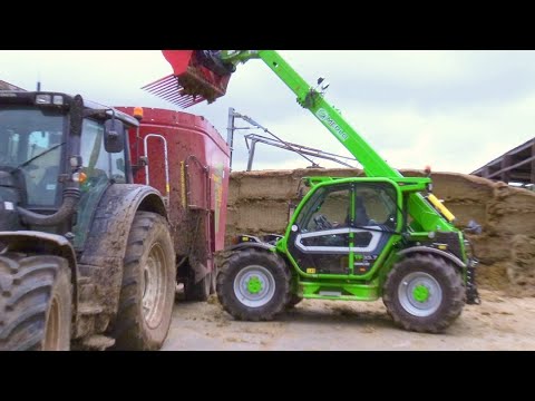 Cow-Feeding - Loading the Feeder with NEW Merlo.  First Look.