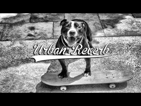 uth. fruit  - Too Much Litchi