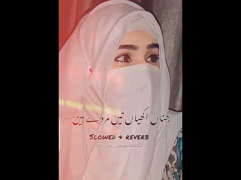 Tede dil vich kehria Tede mn vich kehria Ahmad Nawaz cheena saraiki song slowed and reverb 🎧🥺