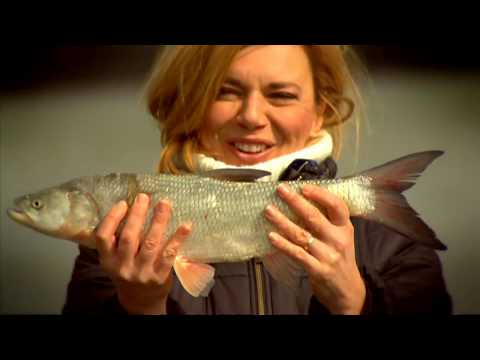 Gasztroangyal 15. rész – A Szigetköz (2013)