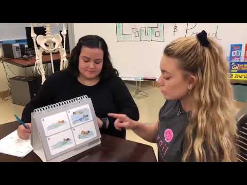 OWLS II Administration