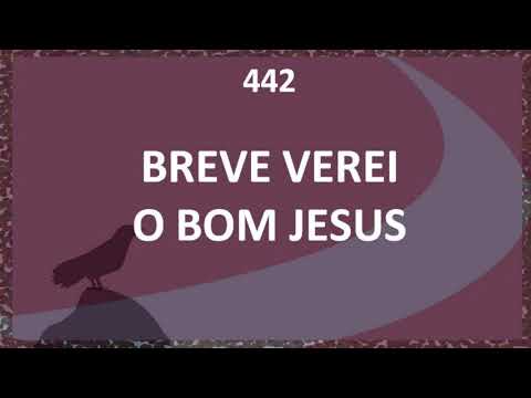 Harpa Cristã 442 - Breve Verei O Bom Jesus