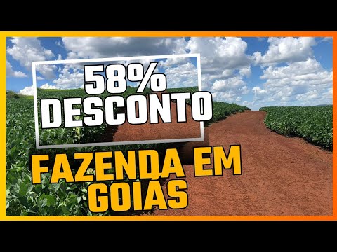 Fazenda 12.000 há em Goiás com 58% desconto. 53 99197-8822 whats