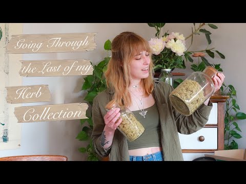Going Through All of the Herbs in my Apothecary | Part Three
