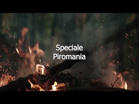 Diddle Speciale Piromania spot 2023 - parodia Lidl