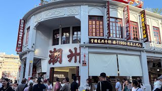 456 2泊3日で22匹のネコに会う【茶と猫の街、潮州】香港から高速鉄道２時間半