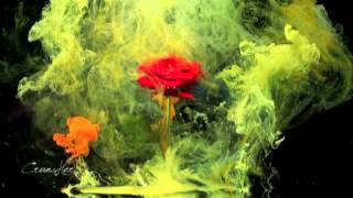 Demos tiempo al tiempo, mientras se marchitan las siluetas