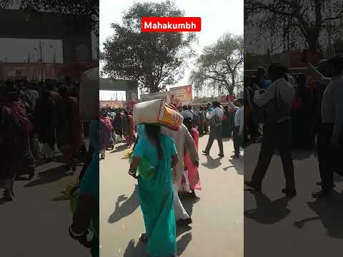महाकुंभ #prayagrajkumbh #mahakumbh2025 #songvideo #reels #shortsvideo #vibes #trending #like#vibes
