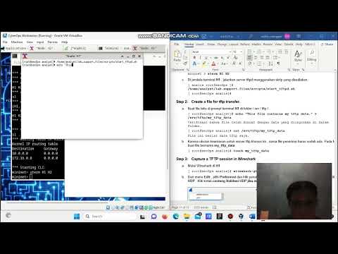 Lab - Using Wireshark to Examine TCP and UDP Captures