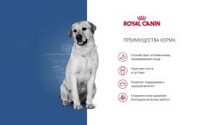 Royal Canin Maxi Adult 4 кг (3007040) - відео 1