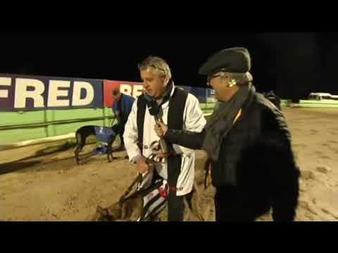 BGBF / Nottingham British Breeders Stakes Final - Romeo Rumble