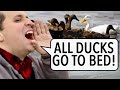 https://www.youtube.com/watch?v=_Ai3_KdJi5w