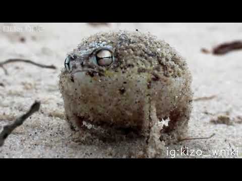 kiedyś nie miałem, a teraz ...