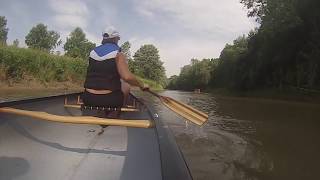 Rolling Down the River-Adult Day Paddle