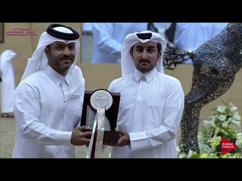 55 - SADEER AL SHAQAB