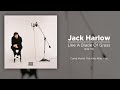 Jack Harlow Like A Blade Of Grass 432 Hz