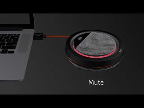 Portable Speaker