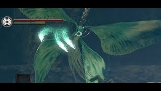 [初見]DARK SOULS REMASTERED Part5[実況]