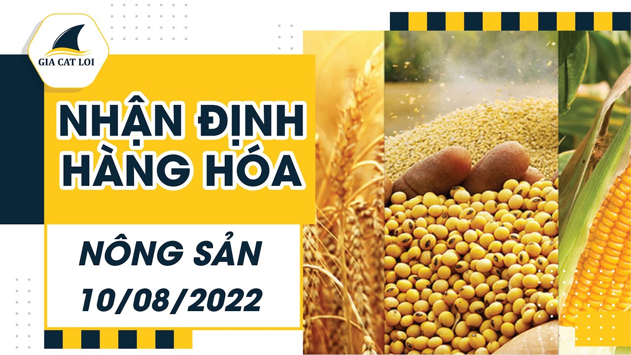Nhận Định Thị Trường Nông Sản Ngày 10/08/2022