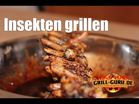 Folge #018 - Insekten grillen - grill-guru.de