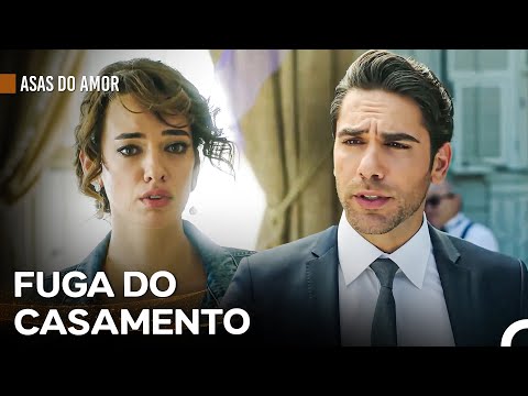 Foi Assim Que A Grande História De Amor Começou... - Asas do Amor
