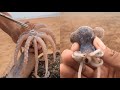 Let's catch crabs, catch octopus, catch shells, catch all kinds of fish, Catch seafood B 130 Let's catch crabs, catch octopus, catch shells, catch all kinds of fish, Catch seafood B 130