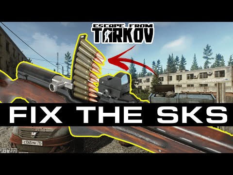 This ONE change would make the SKS in Tarkov even better