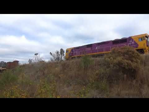 V/Line N475 “City Of Moe” At Bendigo