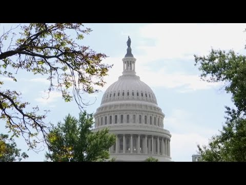 Montana's 2020 U.S. Senate race: Showdown or snoozer? Video