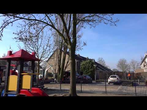 2 3 2018 Bomenkap in Woubrugge bij Ukkepuck