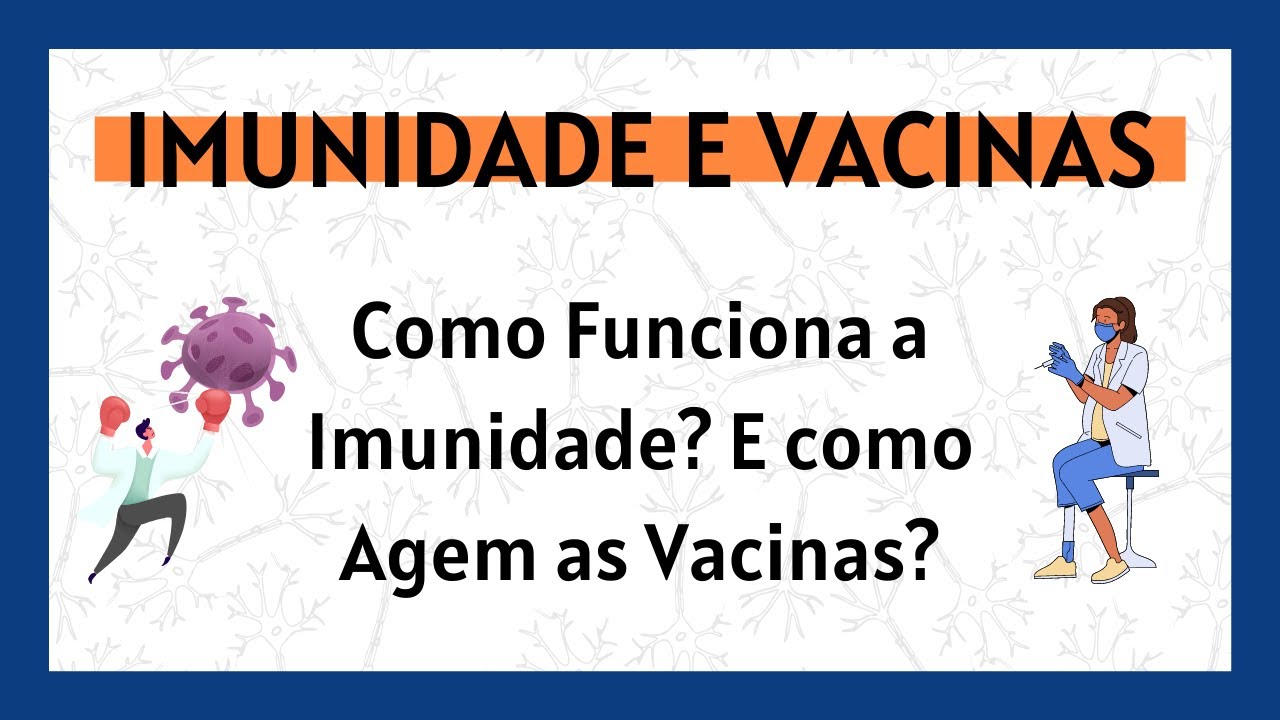 Como Funciona a Imunidade? Como as Vacinas Ajudam o Sistema Imune?